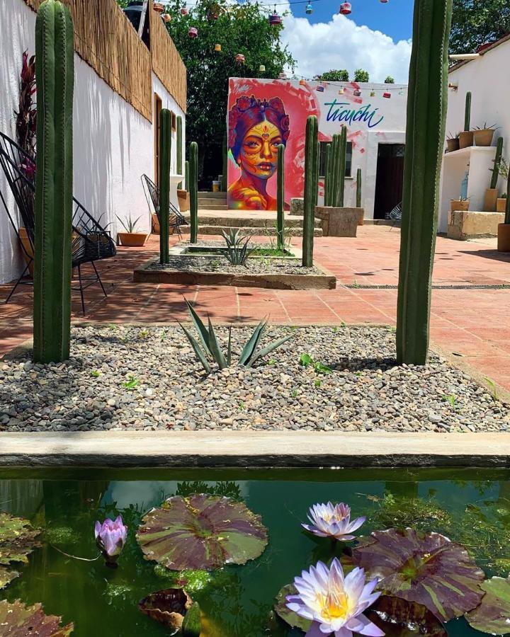 Ticuchi Hostal Oaxaca Esterno foto